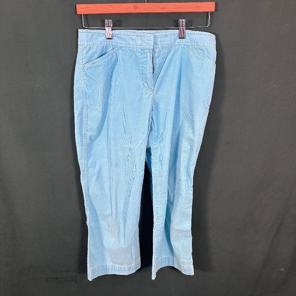 Theory Lt Blue Capris